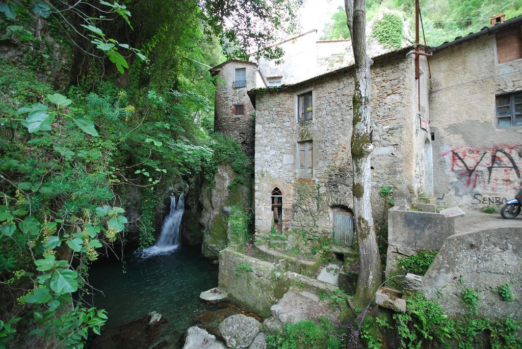 La Stagione Dell'Arte Camaiore Exterior foto
