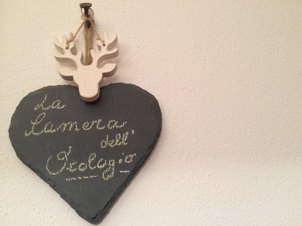 La Stagione Dell'Arte Camaiore Quarto foto
